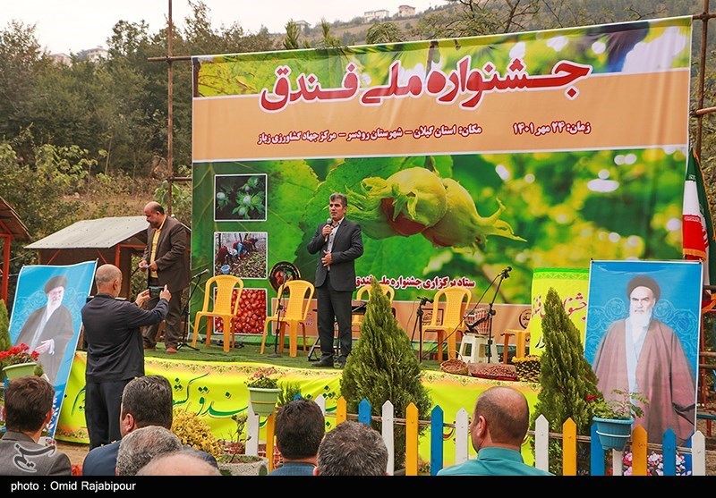 جشنواره ملی شکرانه برداشت فندق در روستای زیاز شهرستان رودسر برگزار می‌شود