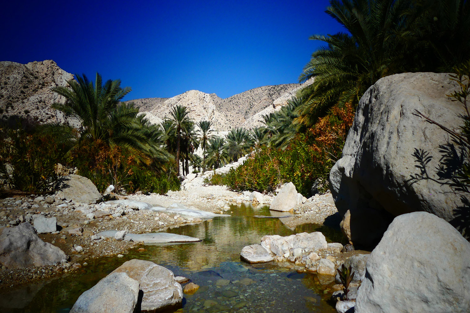 کوهچر، روستای هدف گردشگری در استان بوشهر