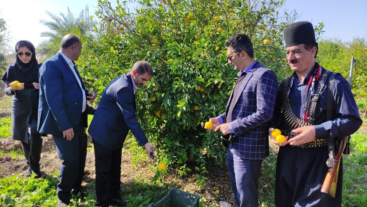 اولین مزرعه گردشگری کشاورزی در اندیمشک خوزستان گشایش یافت