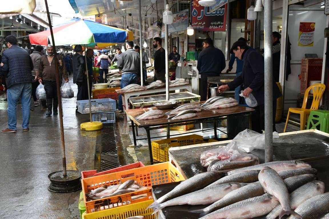 بازارهای ماهی مازندران فرصتی مناسب برای جذب گردشگران داخلی و خارجی/ گره کور صیادان به دست گردشگران باز شدنی است 