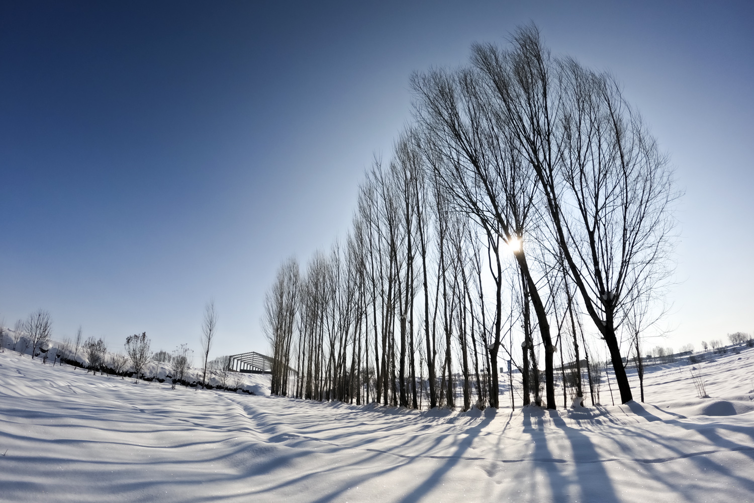 زیبایی‌های زمستان در اردبیل