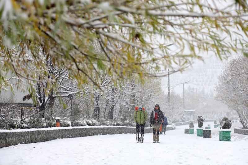 بارش برف و باران در نقاط مختلف کشور/ وزش باد شدید در تهران 