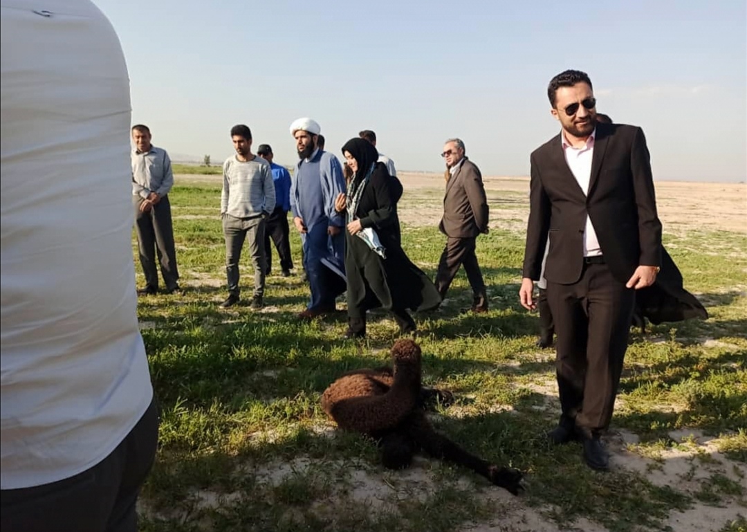عبابافی دشتی در مسیر ثبت جهانی/ ارزیابان یونسکو وارد بوشهر شدند