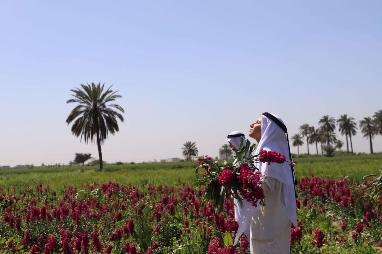 پیچیده شدن رایحه گل‌های شب‌بو در حمیدیه خوزستان در آستانه بهار