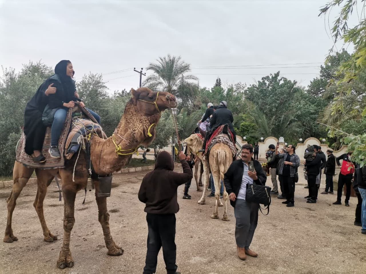 استقبال گردشگران نوروزی از شترسواری در باغ تاریخی گلشن طبس
