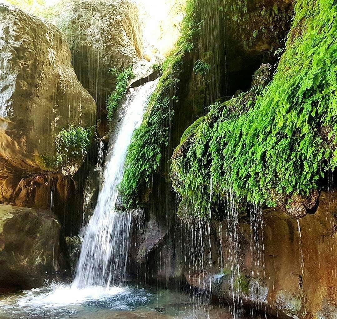 آبشار تنگ تامرادی، مکانی با چشم‌انداز طبیعی و زیبا در دل کوه های زاگرس