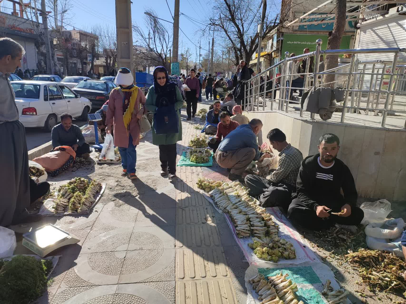 راه‌اندازی بازارچه فروش گیاهان بهاری برای گردشگران نوروزی در روانسر کرمانشاه