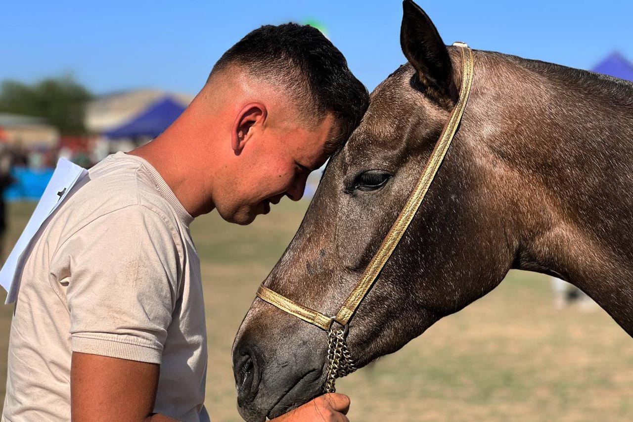 هفدهمین جشنواره ملی زیبایی اسب اصیل ترکمن در روستای صوفیان شهرستان کلاله