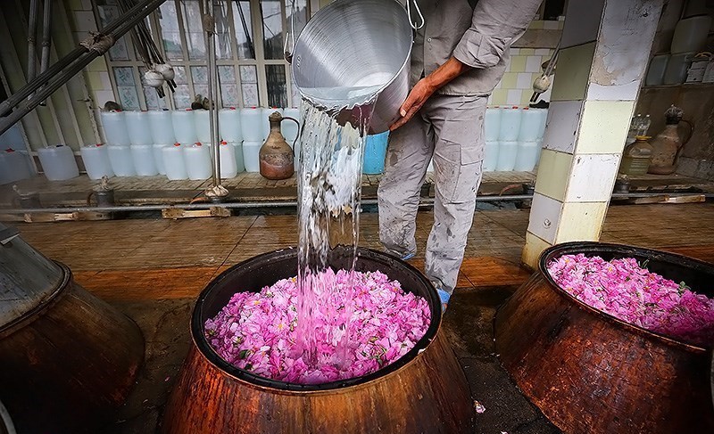 جشنواره«گل و گلاب تهران» به میزبانی فرهنگسرای بهمن/ برپایی نمایشگاه اقوام ایرانی در جنوب پایتخت 