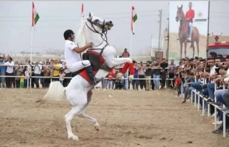 جشنواره نژادهای مختلف اسب‌های اصیل ایرانی در آبیک قزوین برگزار شد