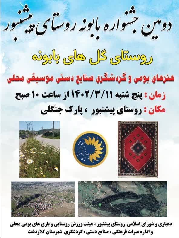 دومین جشنواره گل‌های بابونه در مازندران برگزار می‌شود