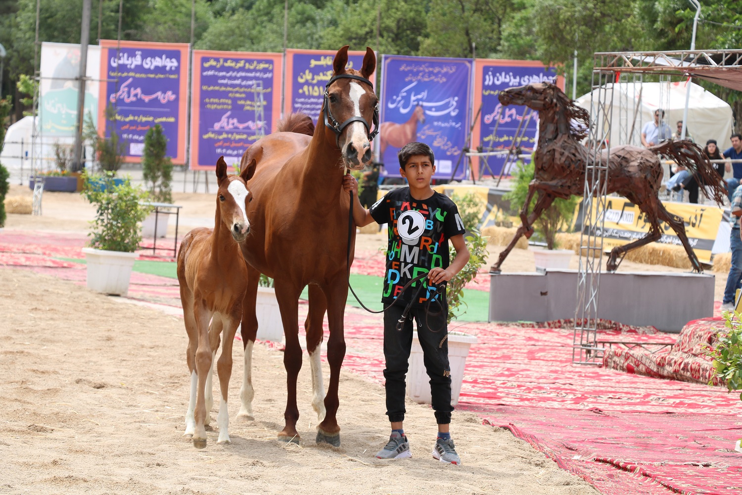 جشنواره ملی زیبایی اسب اصیل ترکمن در بجنورد برگزار شد