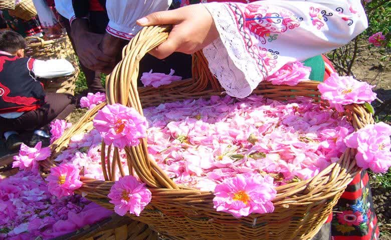 برگزاری نخستین جشنواره گلاب‌گیری در رزن همدان