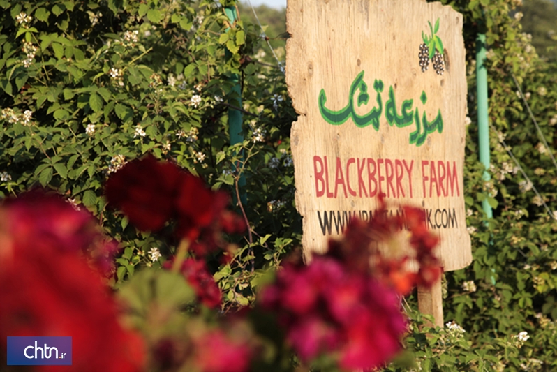 زیرساخت گردشگری کشاورزی در استان گلستان مهیاست