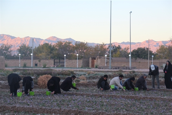   شرکت هنرمندان صنایع‌دستی قاینات در نمایشگاه ملی زعفران