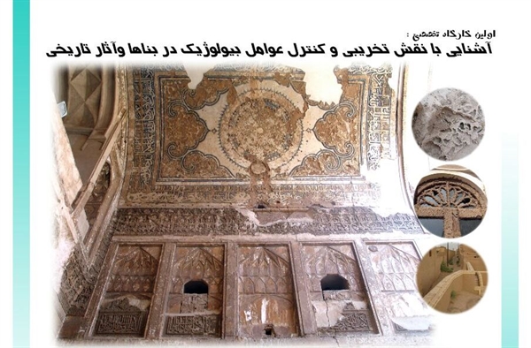 نخستین کارگاه آموزشی آشنایی با نقش تخریبی و کنترل عوامل بیولوژیک در بناهای تاریخی برگزار می شود
